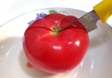 切西红柿