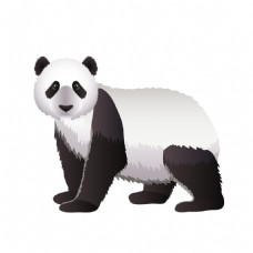 动物熊猫元素