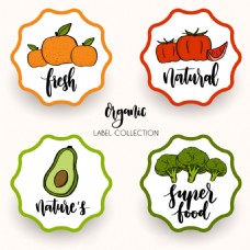 复古风格健康蔬菜水果食品贴纸图标