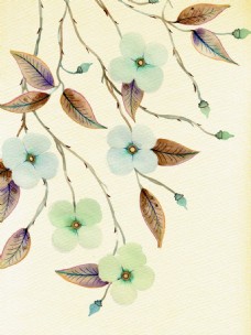 水彩树枝花朵插画