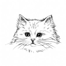 卡通商业卡通矢量黑白手绘可爱猫商业装饰图案元素