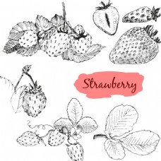 黑白手绘草莓