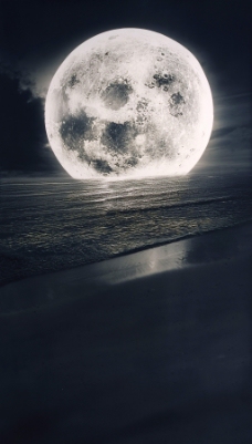 大气月光大海背景