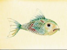 水彩鱼插画图
