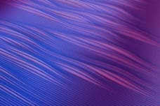 紫色动感波纹图片