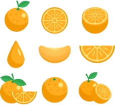 手绘橘子水果素材