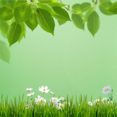 花朵青草树叶绿色背景素材