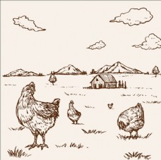 画册设计手绘农场里的母鸡
