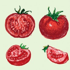 进口蔬果手绘番茄西红柿插图