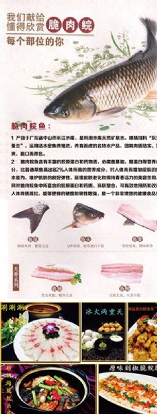 脆肉鲩鱼易拉宝