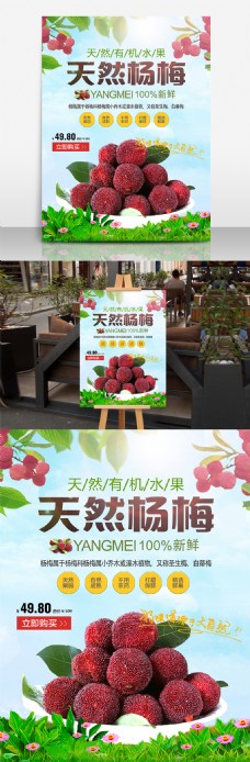 天然杨梅水果促销海报