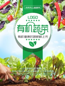 绿色蔬菜无公害有机蔬菜新鲜上市海报