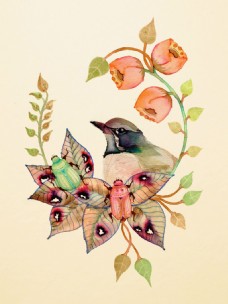 花环上的小鸟插画