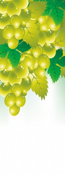 卡通绿色葡萄展板背景