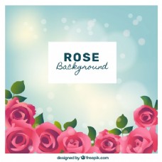 粉红色的玫瑰花背景虚化背景