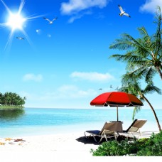唯美海边沙滩椰子树风景