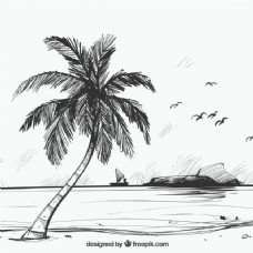 用棕榈树绘制海滩背景