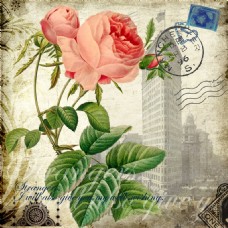 邮戳与玫瑰花图片
