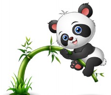 猫卡通骑在竹子上的卡通熊猫矢量