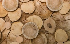 木柴原材料木头