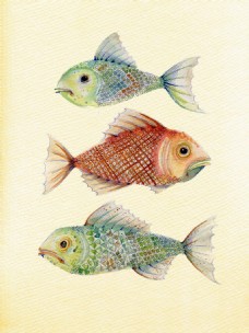 三只水彩鱼插画图
