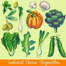 各种绿色蔬菜插图集合