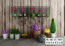 景观设计植物墙盆栽盆景花卉组合