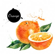 豌豆橙子