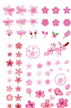 樱桃园花朵花瓣素材