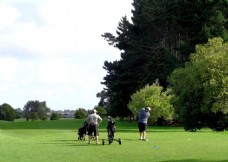 新高尔夫新西兰高尔夫清晨风景