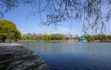 春天 公园 湖