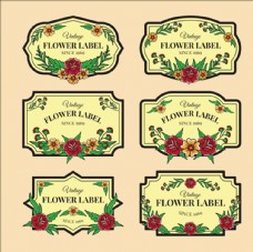 春季新品上市六种古老的花卉标签