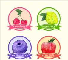 进口蔬果四种水彩可爱水果贴纸