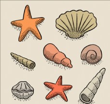 贝壳海洋手绘夏日海洋海星贝壳