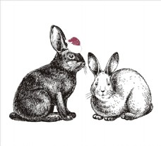 女童印花手绘兔子矢量图下载