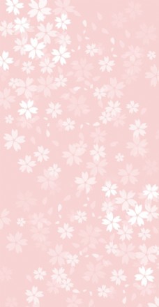展板粉色花朵