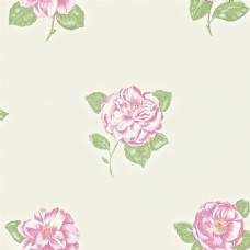 粉色花朵花纹壁纸图片
