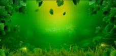 梦幻唯美绿色主题背景视频素材