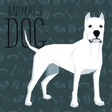 宠物狗白色卡通狗狗宠物展示矢量素材