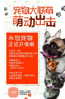 宠物医院简约宠物促销优惠海报