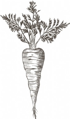 萝卜蔬菜logo餐饮食品行业标志矢量