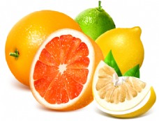 新鲜西柚橙子和柠檬矢量