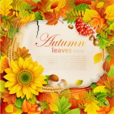 黄色背景漂亮秋季叶子鲜花边框背景图