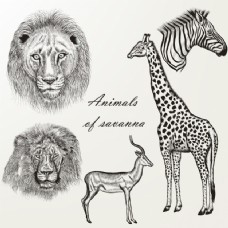 长颈鹿和其他手绘野生动物