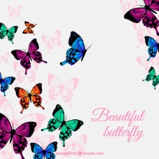 多彩的背景色彩艳丽的蝴蝶飞舞