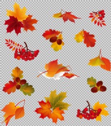 手绘各种彩色叶子免抠png透明图层素材