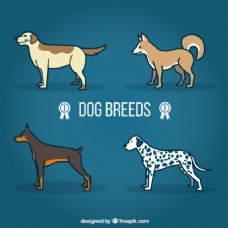 宠物狗卡通狗的品种
