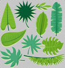 手绘各种绿色叶子插画免抠png透明素材