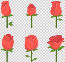玫红色玫瑰手绘红玫瑰插图免抠png透明图层素材