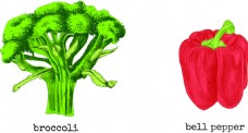 花椰菜蔬菜logo餐饮食品行业标志矢量